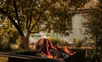 Dachniki, 2 gramy na kbelík - a zalévejte celou zahradu: jabloně, třešně, okurky a rajčata.