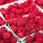Dachniki, tento elixír růstu malin je nutností: Dal na konci června - shromážděné až 9 kg z keře.