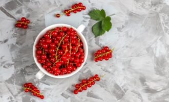 Jak léčit rybíz z kadeřavých listů - osvědčený lék