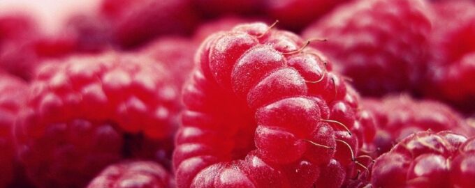 Maliny budou velké jako jahody, pokud stihnete chytře pohnojit do 10. června.