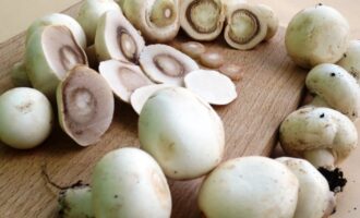 Отличный вариант для пикника: Вкуснейшие шампиньоны с начинкой на мангале