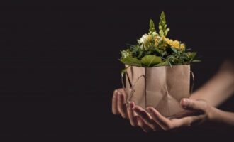 Otoky a bolesti hlavy: Tyto 3 pokojové květiny by neměly být umístěny v ložnici - skutečné příšery