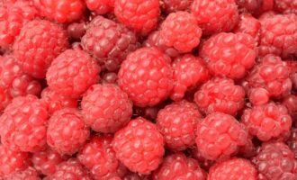 Více malin dvakrát více bobulí: 3 snadné způsoby, jak zvýšit sklizeň - agronom