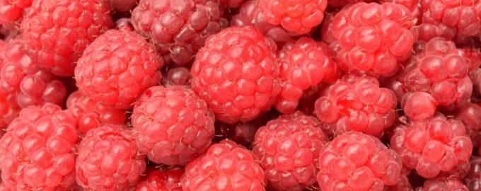 Více malin dvakrát více bobulí: 3 snadné způsoby, jak zvýšit sklizeň - agronom