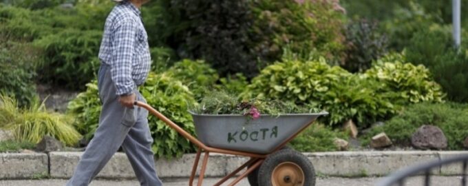 Вторая волна посадок! Вот что еще можно успеть посеять во второй половине июня