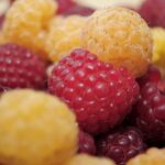 Zahrádkáři, tato žlutá malina je nejchutnější a nejvýnosnější: až 2,5 kg z 1 keře.