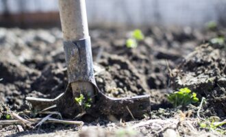 Dacha obyvatelé, lopata zabít zeleninovou zahradu: odborník řekl, co nemůžete dělat na pozemku