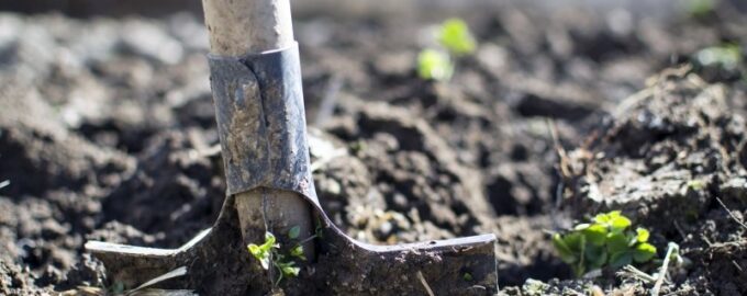 Dacha obyvatelé, lopata zabít zeleninovou zahradu: odborník řekl, co nemůžete dělat na pozemku